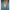 Kodi Professional Base Gel Crystal Drops 12, 7ml