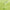 Kodi Professional Color Rubber Base Gel Green bottle and color swatch
