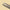Kodi Professional Eyebrow Tweezers K8 – Slanted Precision Tool